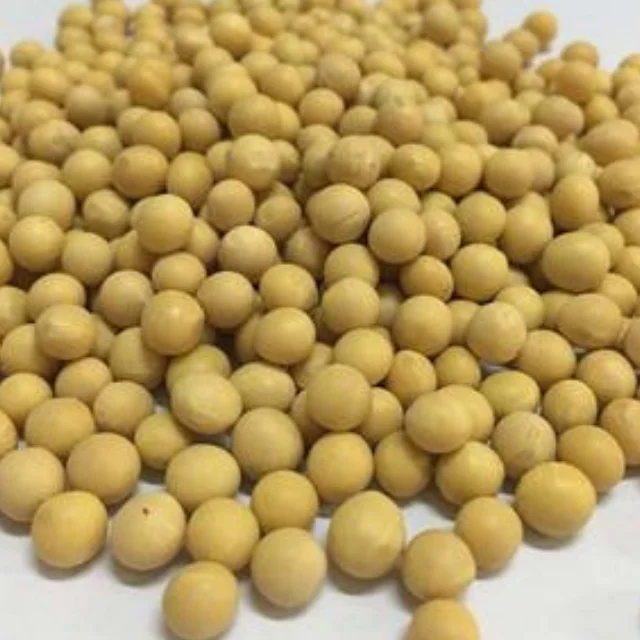 
FRESH CANNED WHITE SOYA BEANS FOR SALE AT WHOLE SALE PRICES 