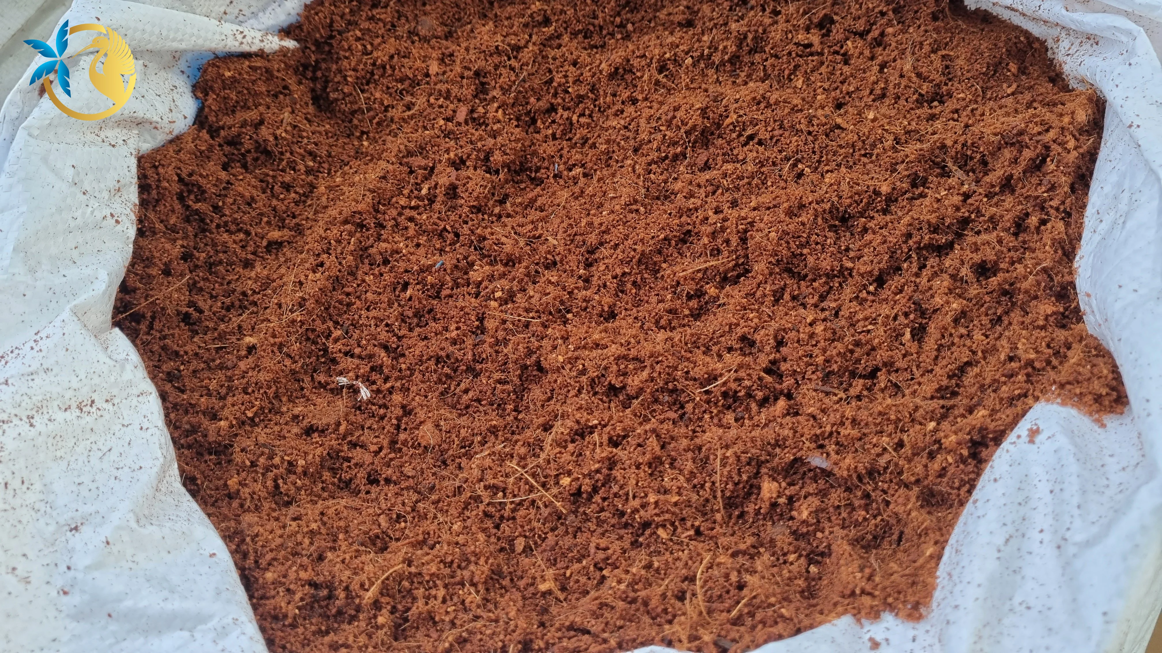 High quality Coco Coir Bagged 28Kg for all season Organic Coconut Peat for Planting with lowest price