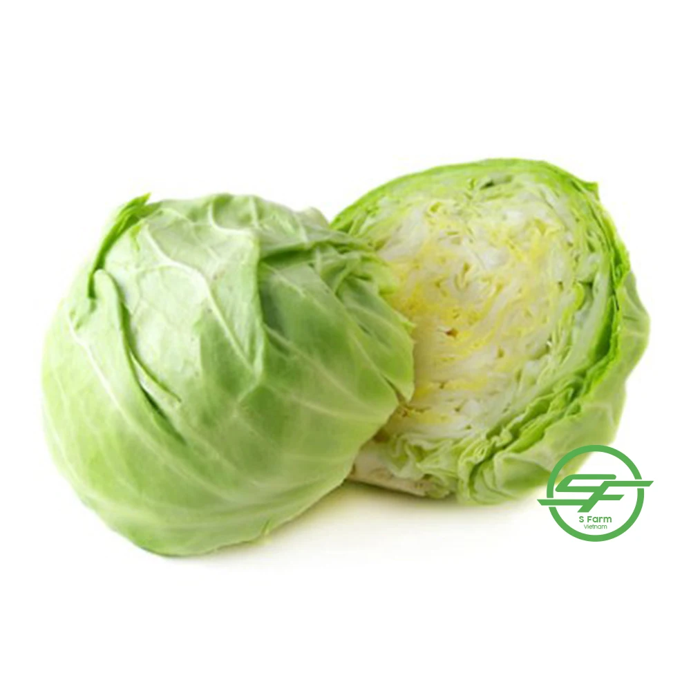 Свежие органические зеленые кабазы без пестицидов