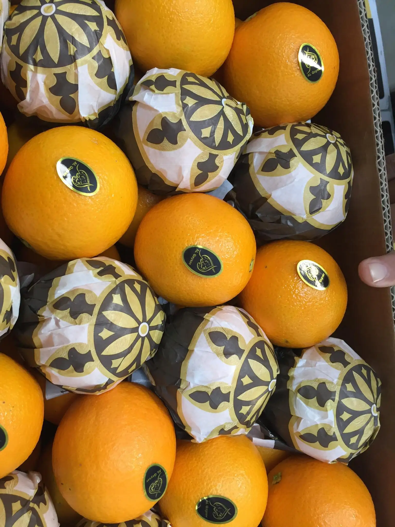 Высококачественная египетская свежая здоровая натуральная оранжевая коробка для соков, 15 кг