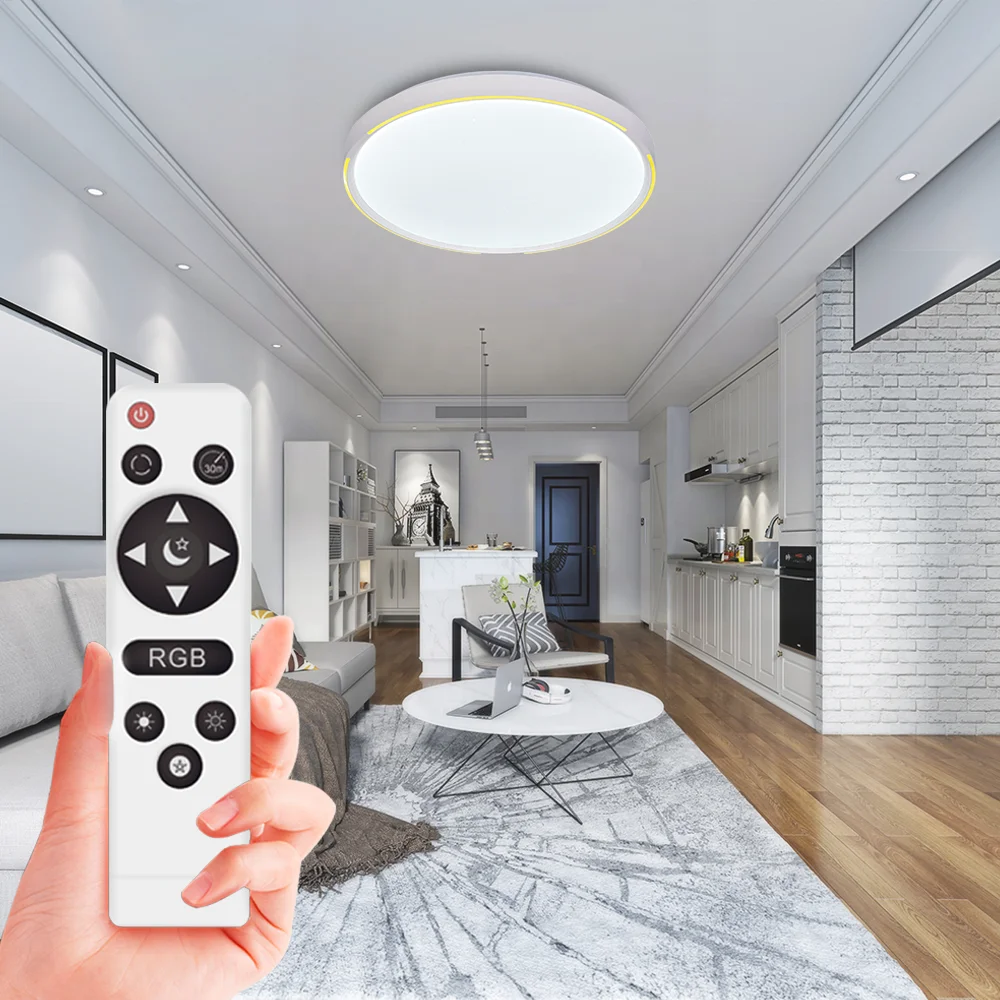 ENVIS 2020 Popular Indoor Lighting Decorate Led RGB 110V220V Dimmer Ceiling Light Free Logo Lamp Supplier