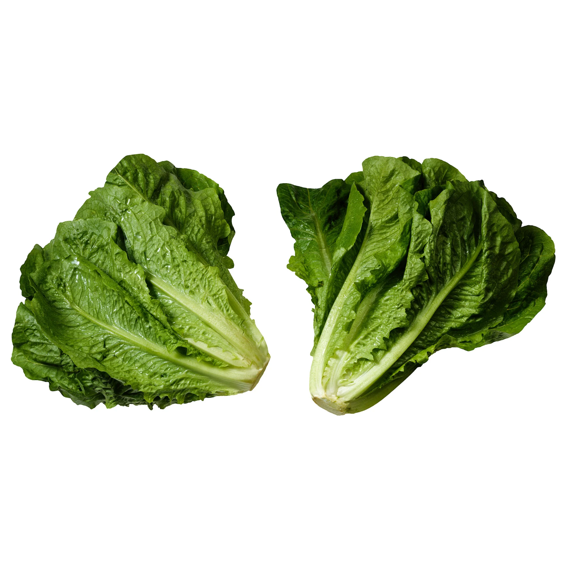 Салат-высокое качество