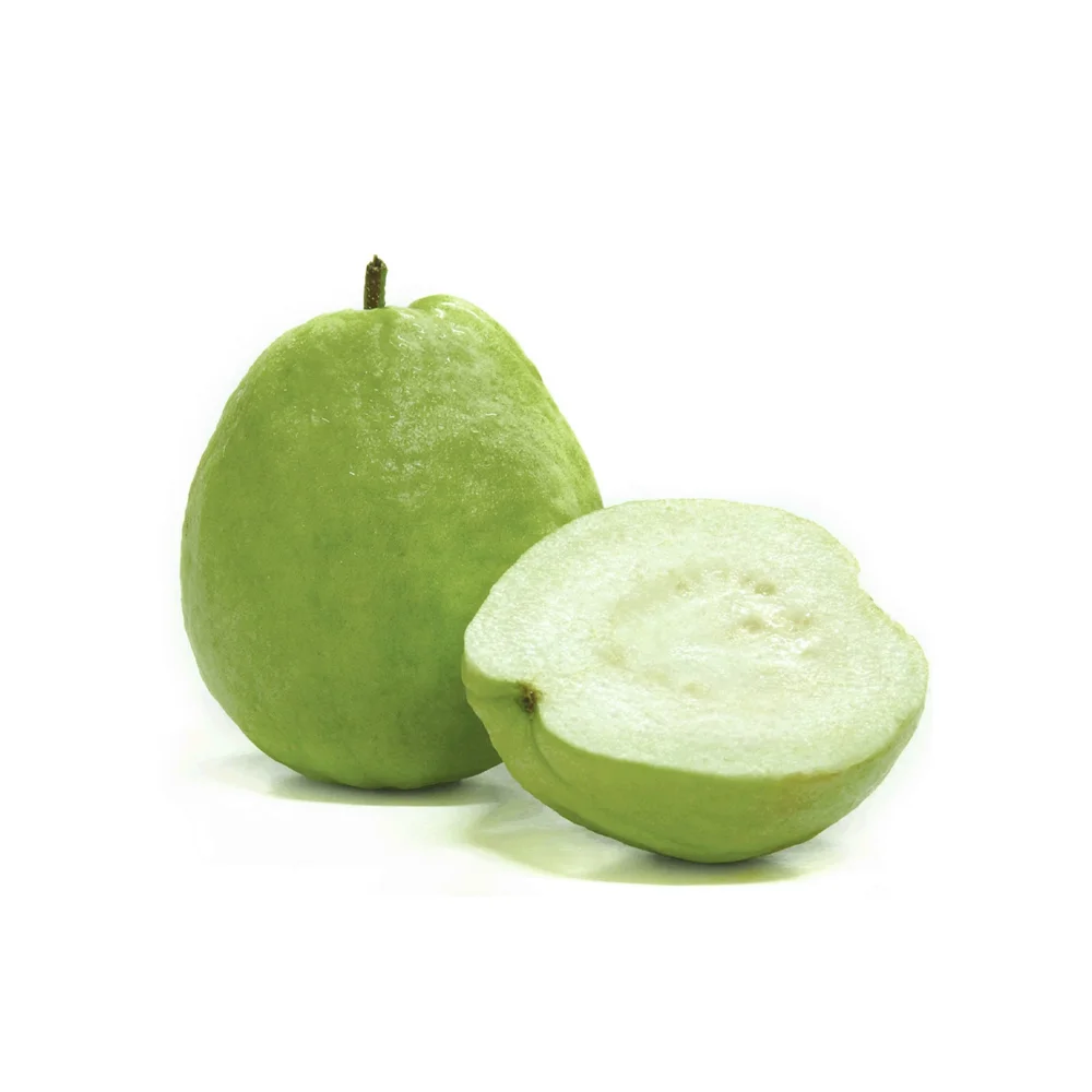 
Guava of Vietnam Green Premium Sweet Style Weight Skin Natural ORIGIN Type Shape Quality 