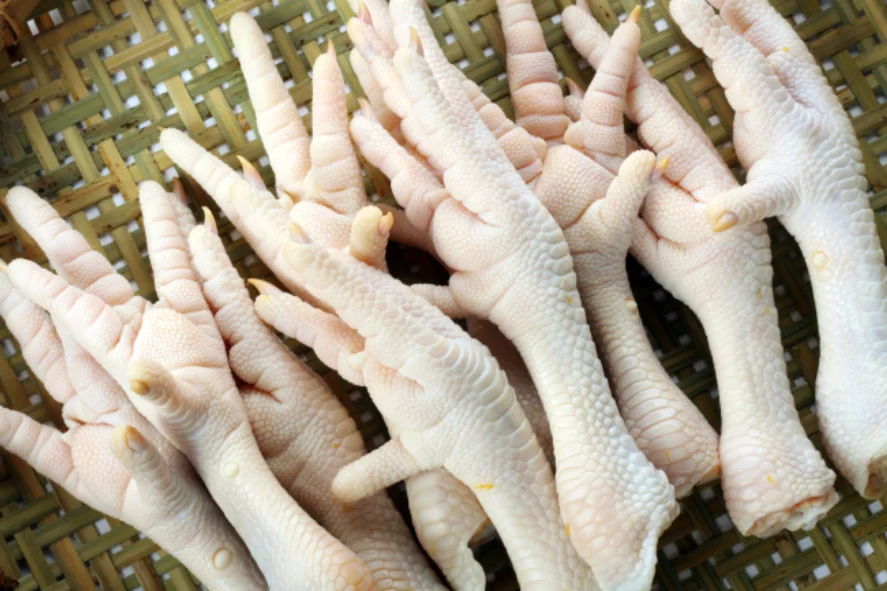 Export Quality Frozen Chicken Feet/ Chicken paw for sale from Brazil