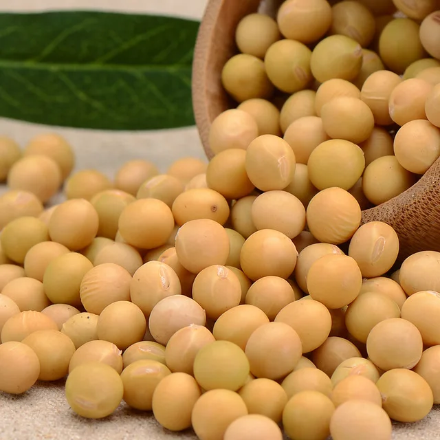 
Soybeans NON-GMO Soya Beans Soybeans Crop High Quality Soybean/Soya Bean Wholesale 
