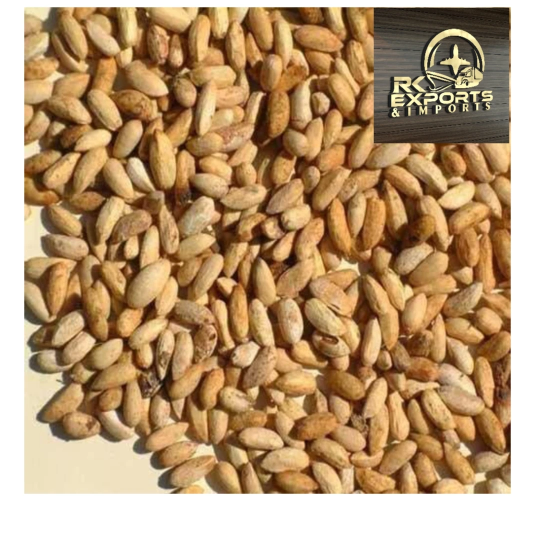 NEEM OIL / cold pressed Neem oil manufacturer /NEEM OIL INDIAN PRODUCTS FROM INDIA  at bulk quantity +919786060004