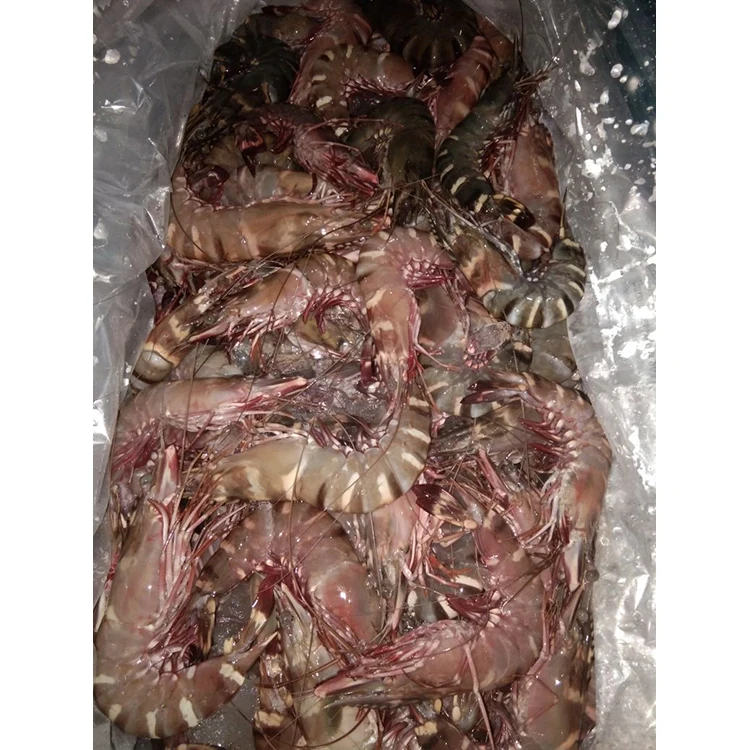 Белые креветки, замороженные креветки Caridean