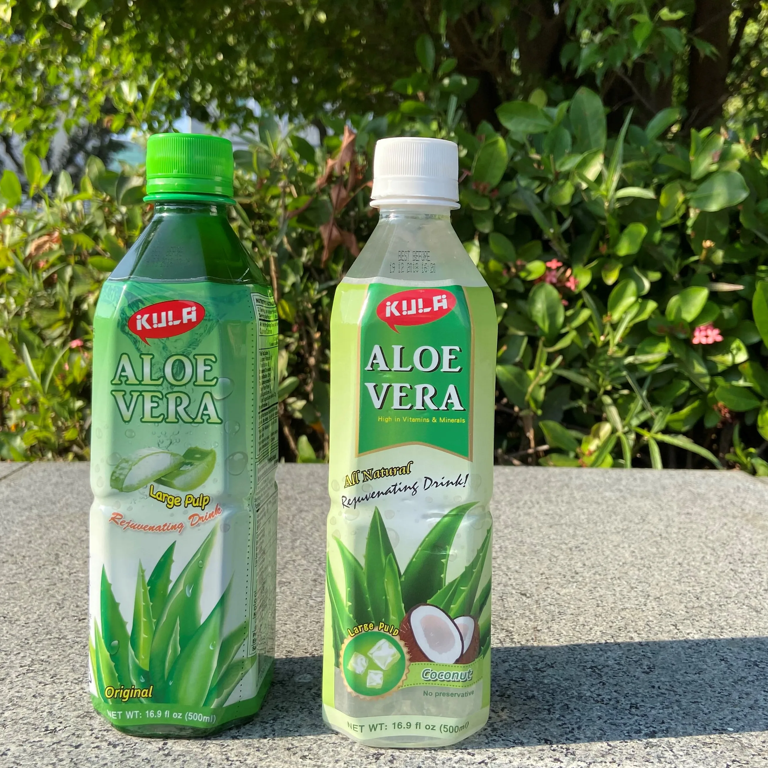 PET Bottle 500ml Aloe Vera Drinks with Pulp