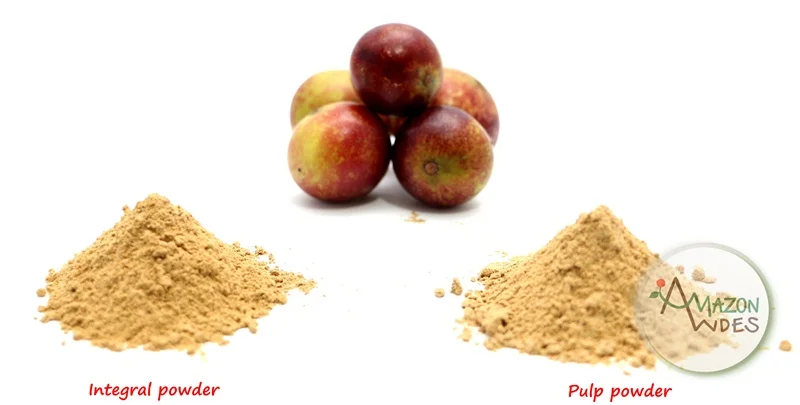 Manufacturer Of Camu Camu Pulp Powder With Huge Benefits From Peru