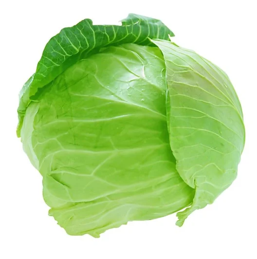 Оптовая цена контейнеры для свежих овощей доступные оптовой продажи