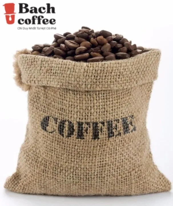 
French original Robusta Coffee beans Unique wild organic coffee beans from Viet Nam for the true coffee lover- city roast 