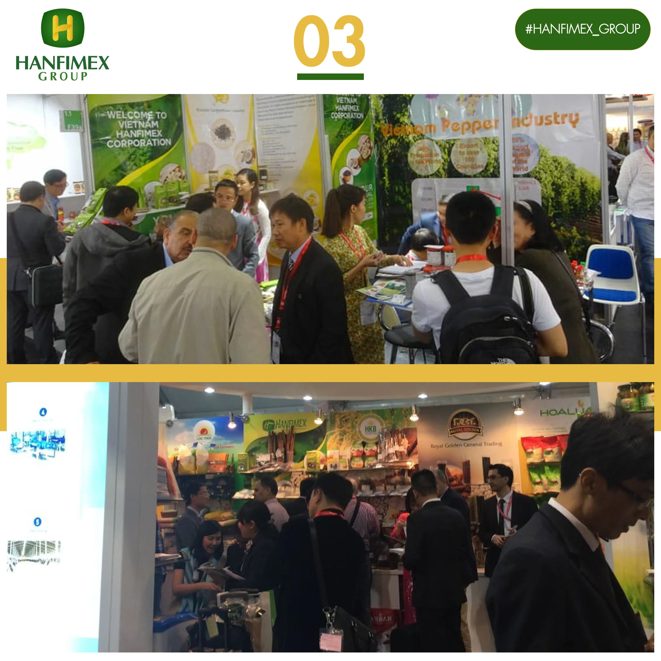 Высококачественные сушеные орехи кешью вьетнамские органические W320