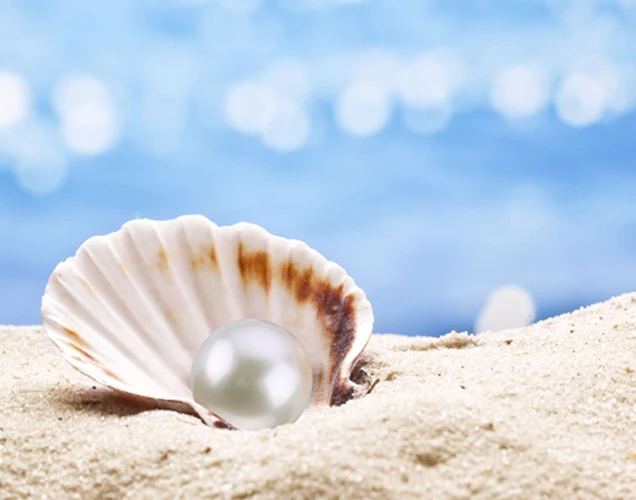 Pure water Pearl Powder Whitening Skin Face Care Origin Vietnam Best price pearl powder high quality