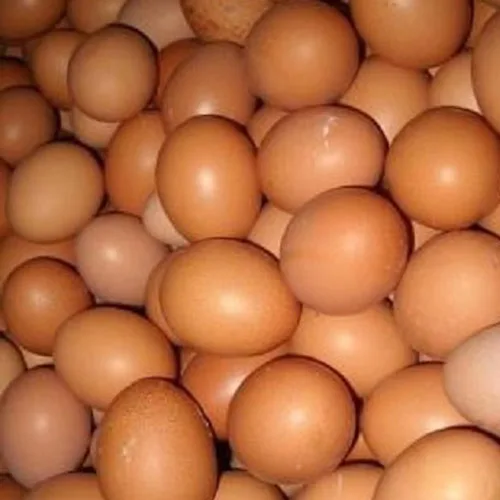 Бройлерные инкубационные яйца Ross 308 и Cobb 500 и куриные настольные яйца (1700005830755)