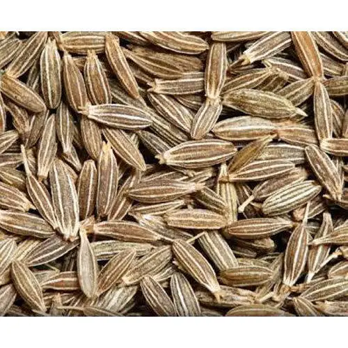India wholesale export high quality Dried cumin seeds