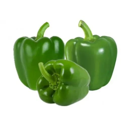 Wholesale Capsicum / Fresh Capsicum Vegetable For Export Now