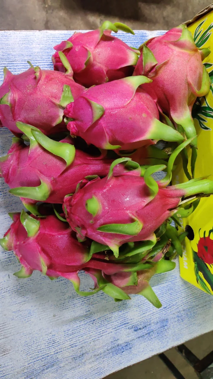 Вьетнамские свежие фрукты дракона по лучшей цене и высокого качества