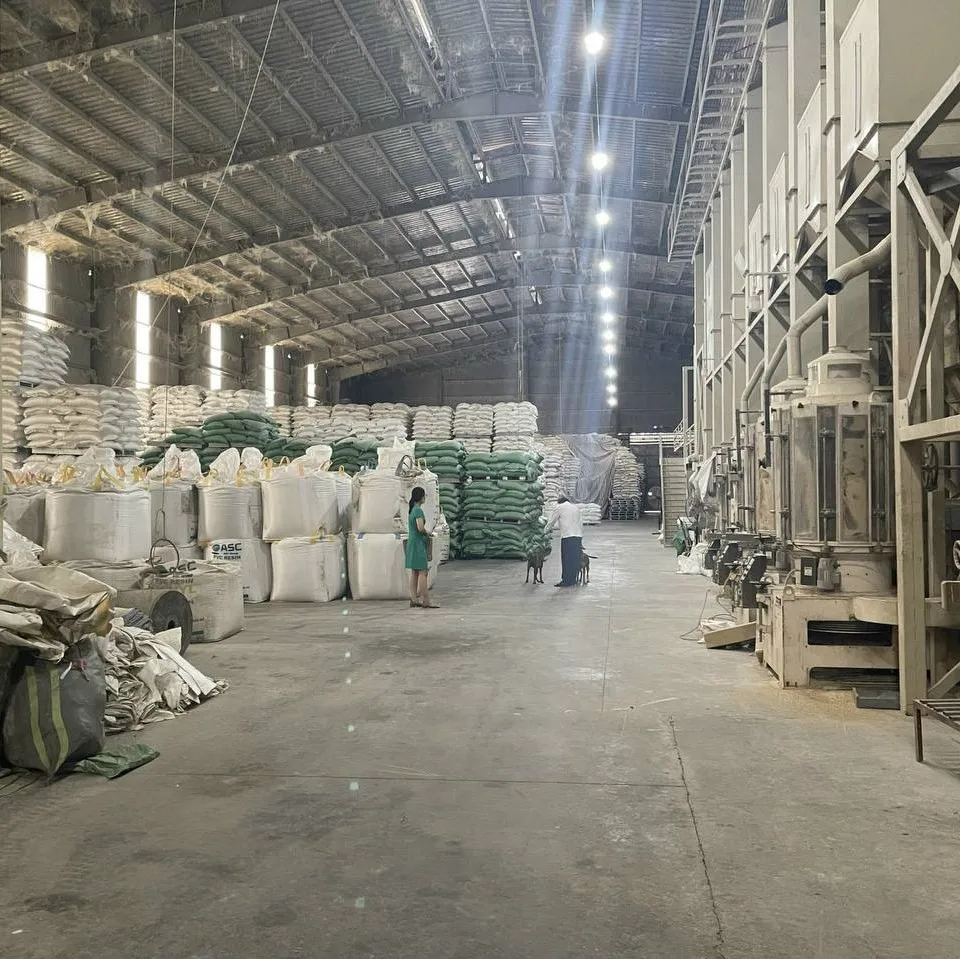 Лидер продаж ВЬЕТНАМСКИЙ РИС OM5451 с длинным зерном