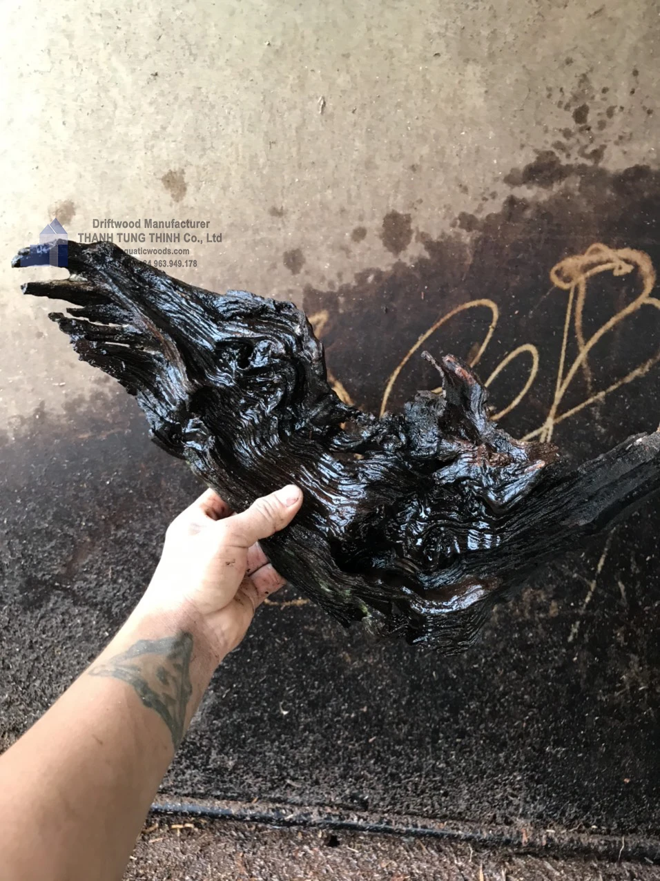 Hot items 2024 Driftwood Nature for Aquarium Landscaping, Aquarium Fish Tank, Planting Grass WhatsApp: +84 961005832