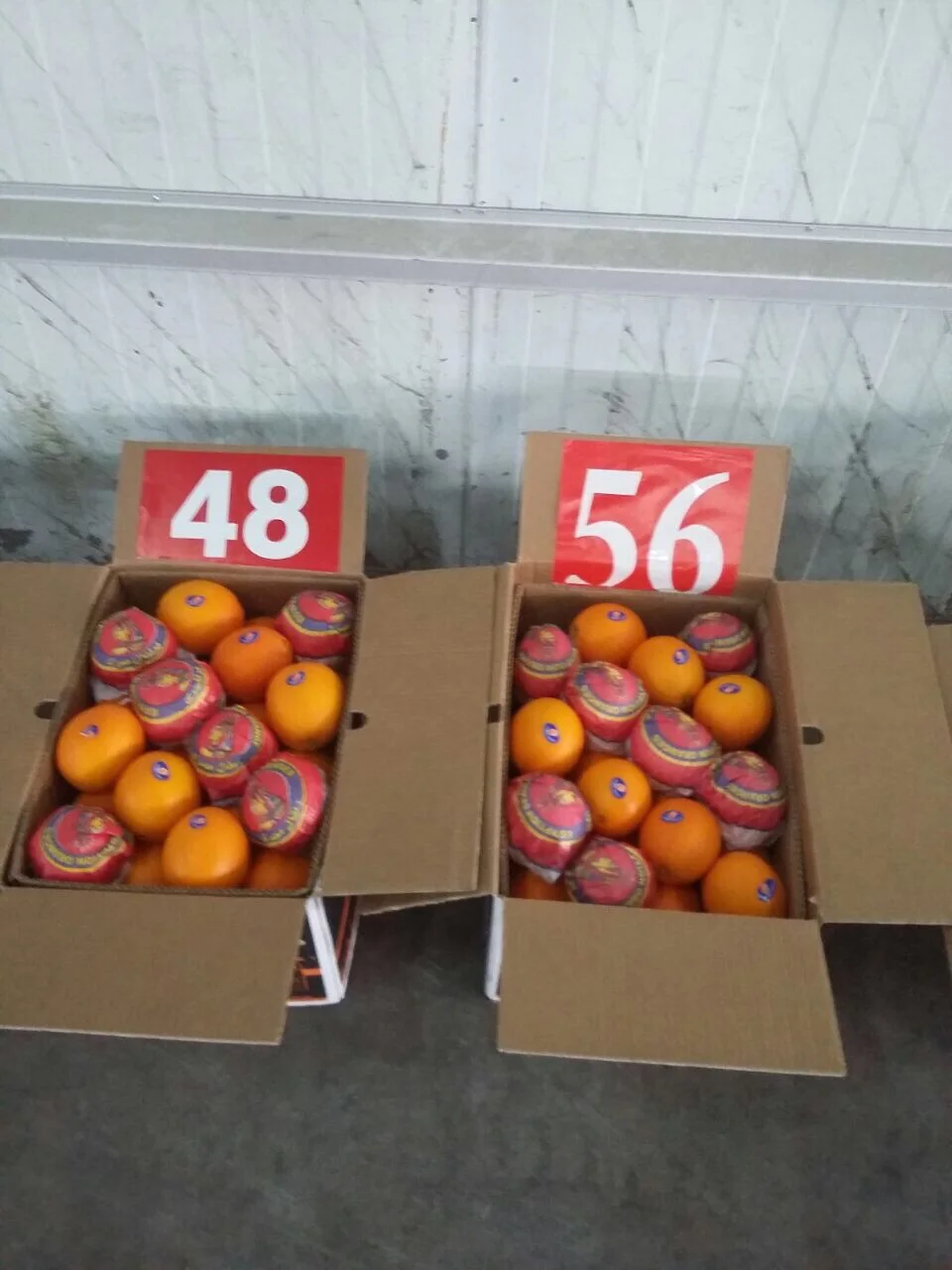 Свежий апельсин -- по низкой цене доступной для экспорта 2021