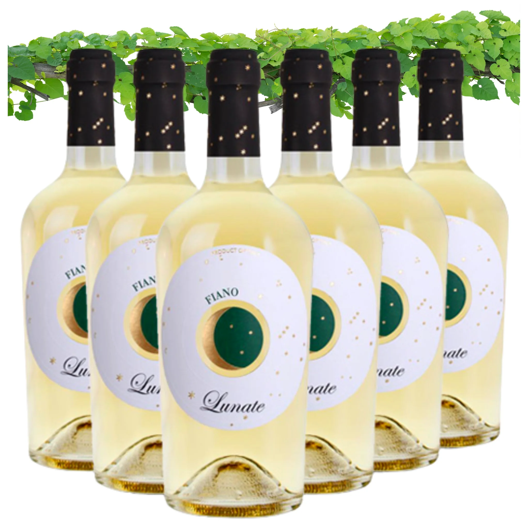 Italian White Wine - Fiano Terre Siciliane IGT Lunate - Wine bottles 750 ml alcohol wine 13.5% for export