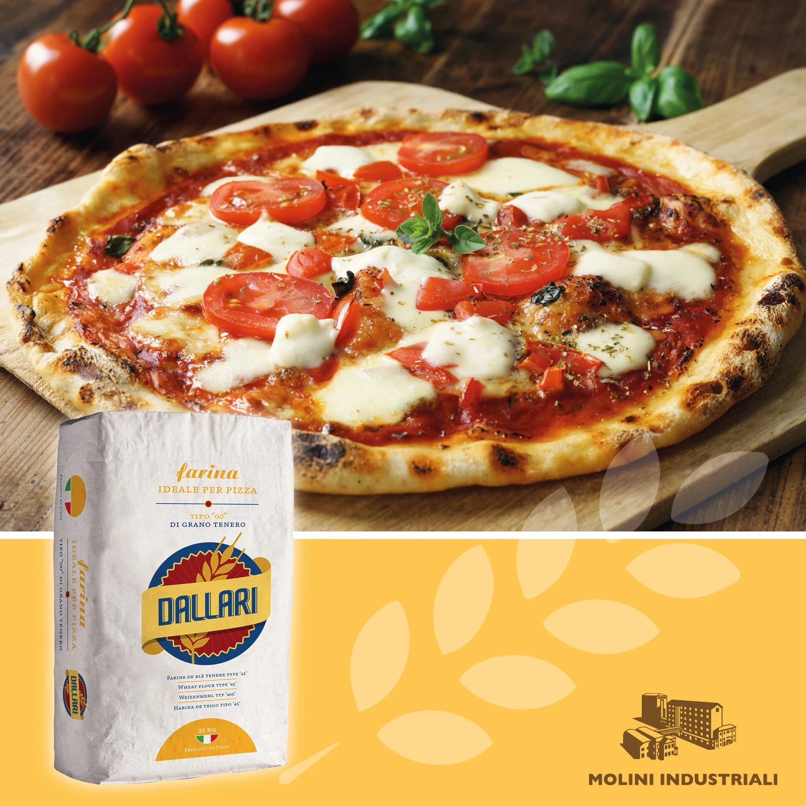 TOP QUALITY ITALIAN BAKING FLOURS FOR PIZZA AND BREAD: SPECIAL PROFESSIONAL RESTAURANT FLOUR BUNDLE