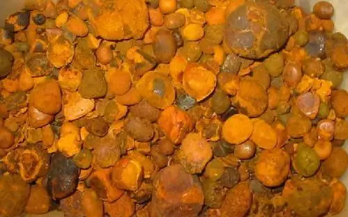 Ox Gallstones/ Cattle Gallstones /Cow Gallstones