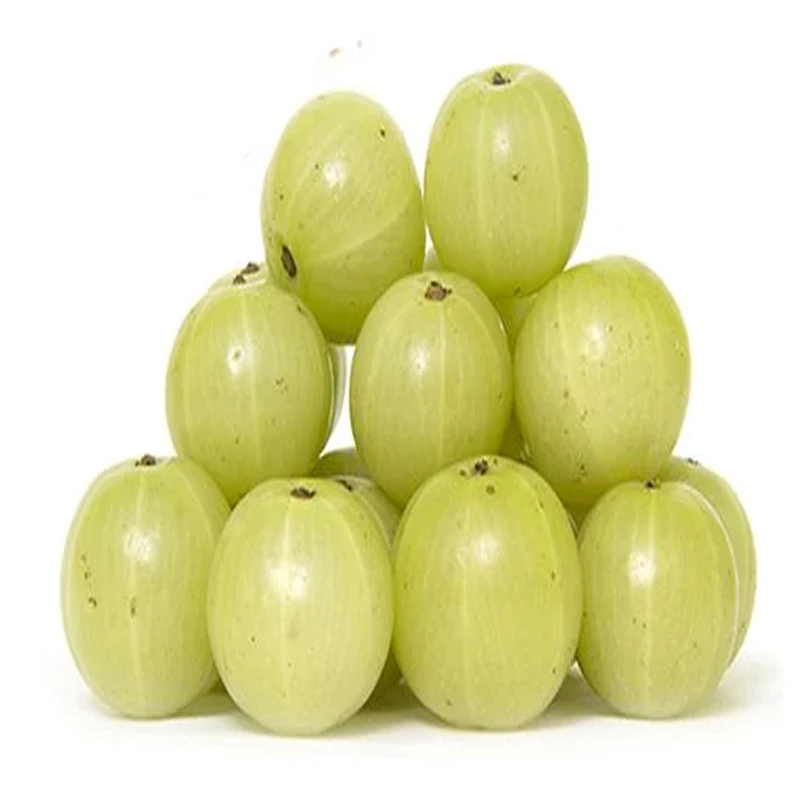 Natural 100% Organic Indian Amla powder Rich in Vitamin C and calcium manufacturer Herbal Real Triple Refined Shifted OEM