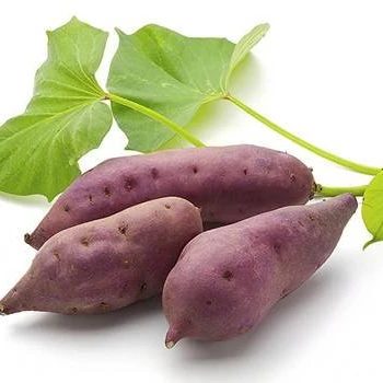 High Quality Irish Sweet Purple Potato Wholesale