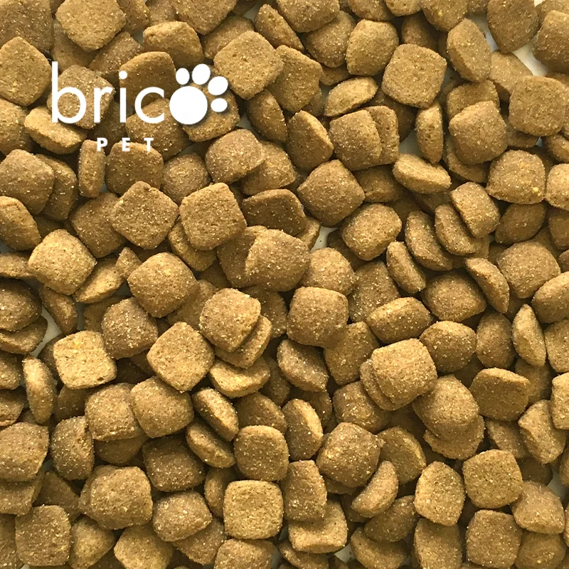 
Dry food for adult active dogs | BRICOPET PERFORMANCE 20kg 