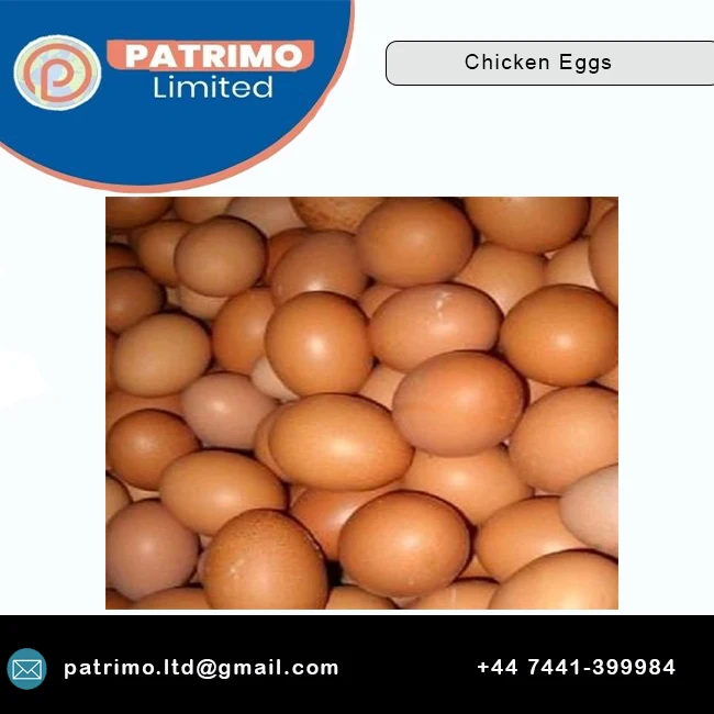 Top quality of Brown Table Chicken Eggs for Suitable price