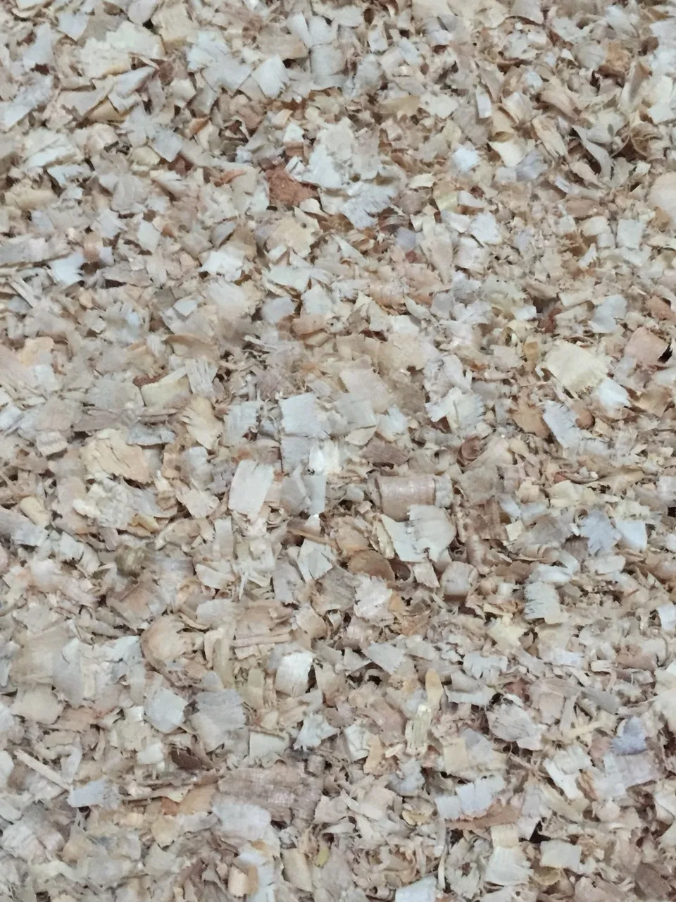 100% PINE WOOD SHAVING / SOFT SHAVINGS for POULTRY and ANIMALS BEDDING WHATSAPP: +84