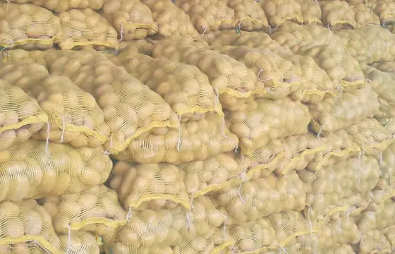 Quality Fresh Potato at Wholesale Price