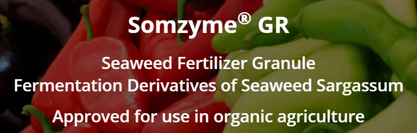 Screenshot (691).png