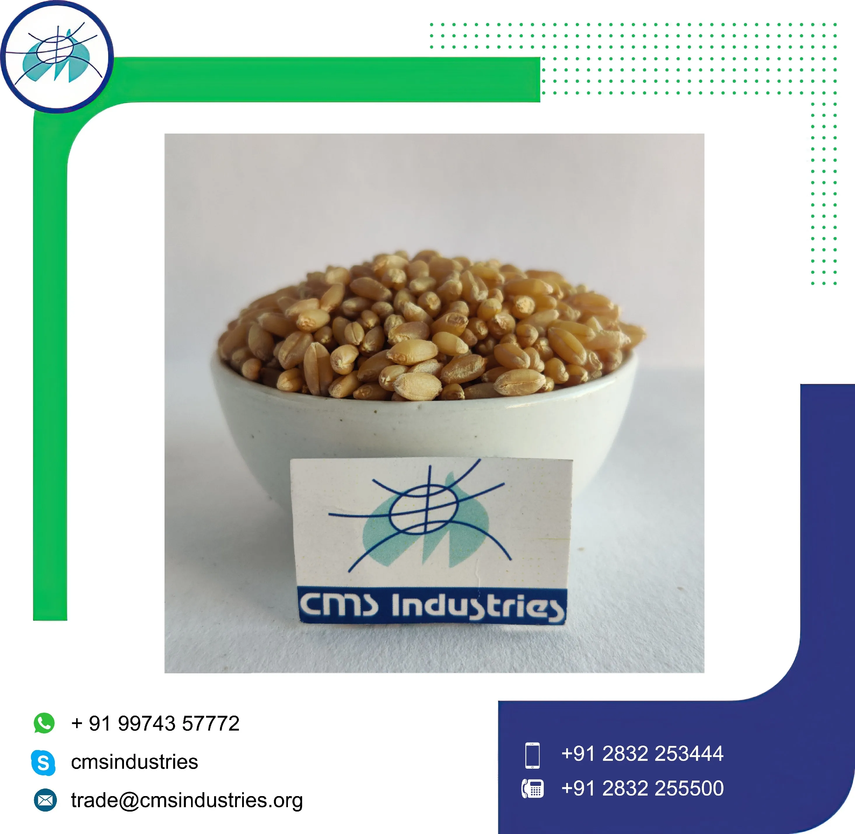 Великолепная Пшеница локвана