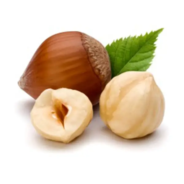 
Natural Taste Quality Blanched Hazelnuts/ Organic Hazel Nuts 
