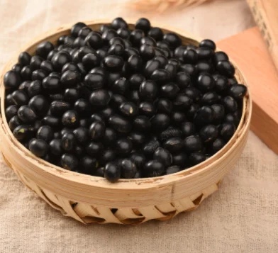 Top Quality Wholesale Green Food Organic small Dry Black Kidney Beans From High Quality Soil