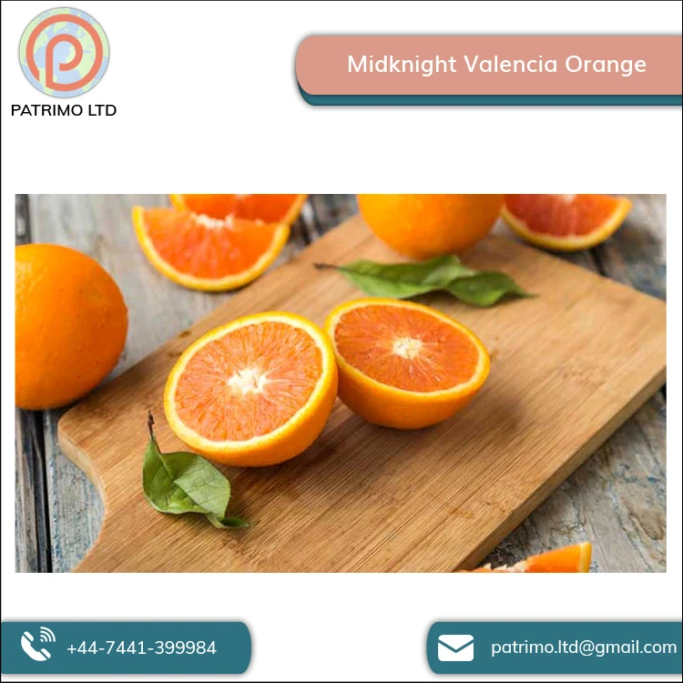 Высококачественный вкусный вкус Midknight Valencia Orange от оптового поставщика
