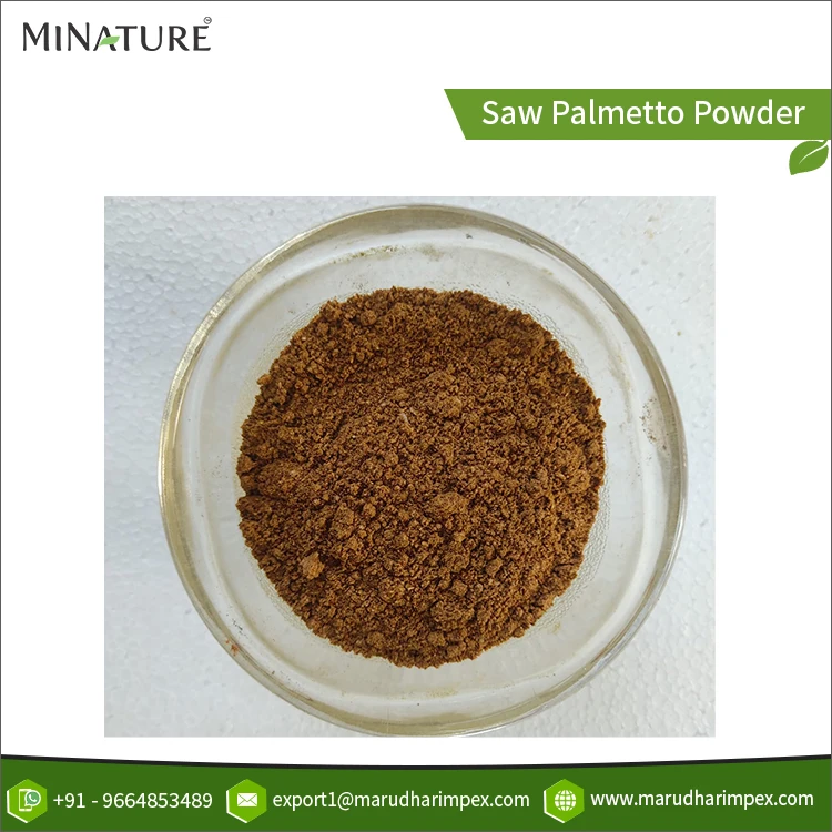 Global Supplier Selling Grind Process Extraction Type Saw Palmetto Plant Extract Herbal Powder at Competitive Price