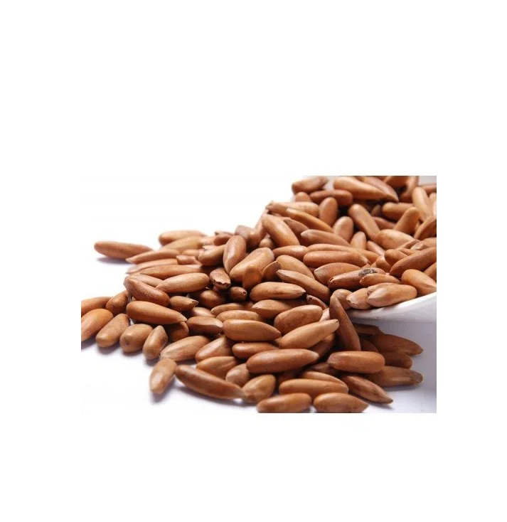 100% Best Quality Pine nuts Cheap Rate Pine nuts