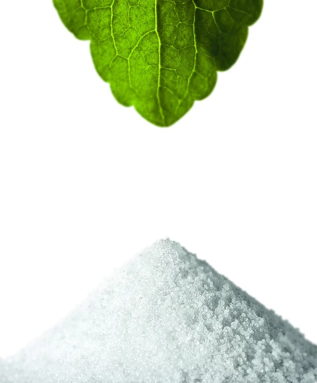 Corn Syrup Solid Mild sweetening bulking fine granulation 36DE bulk sweetener