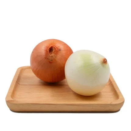 pure fresh yellow Celebration onion suppliers