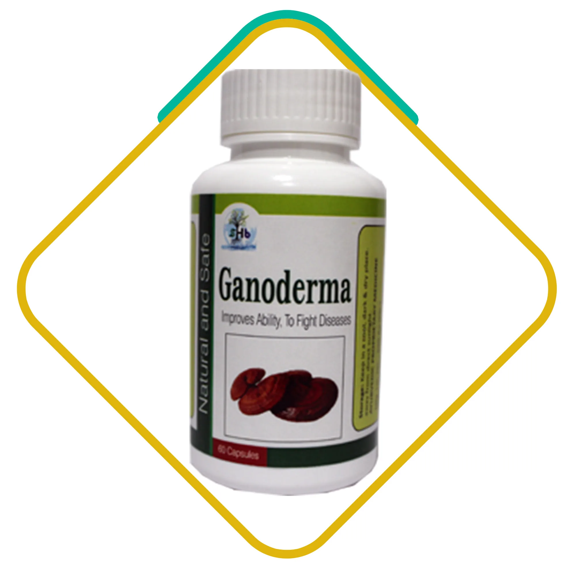 High quality Ganoderma Plus Capsule Ayurvedic Capsules