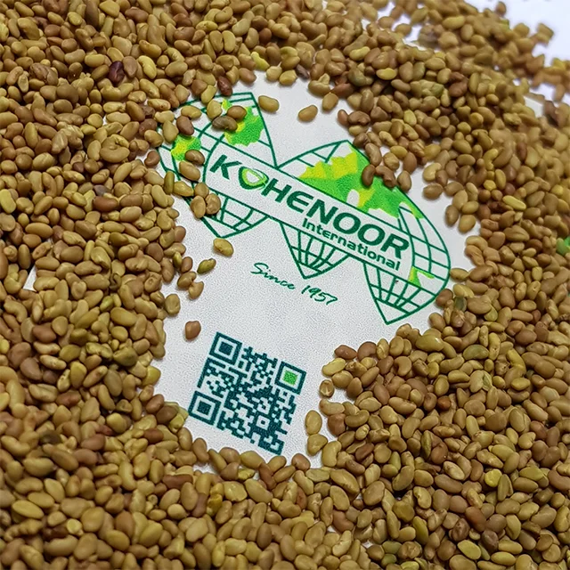 Lucerne Seed