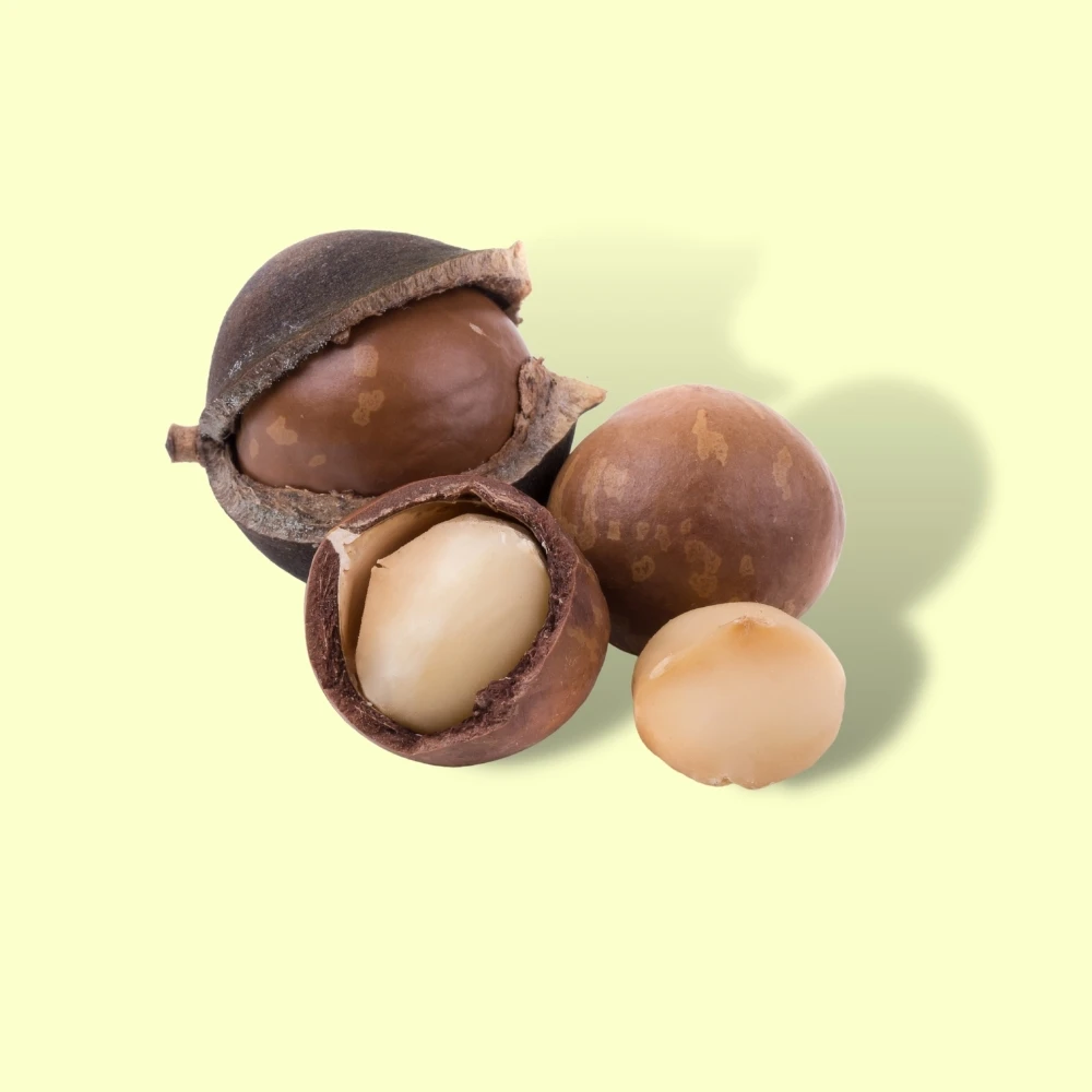  Лидер продаж 2021 орех макадамии Органическая упаковка для здоровых закусок орехов