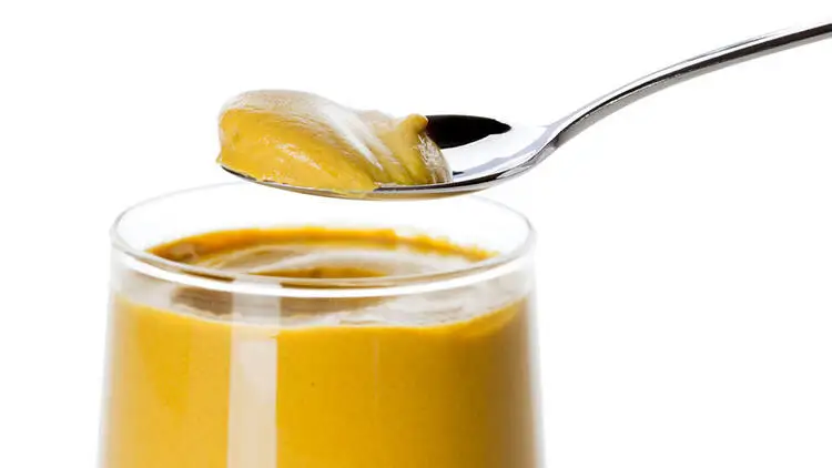 Hot Mustard Sauce