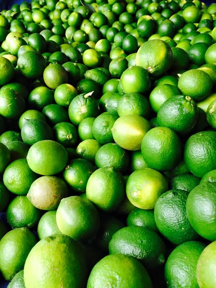 
Fresh Lime grade 1A new crop 2020 