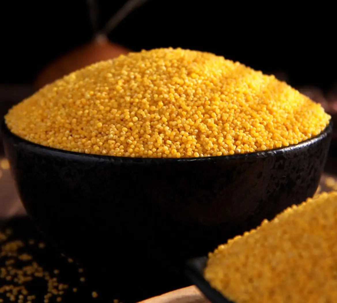 Malted yellow millet for sale