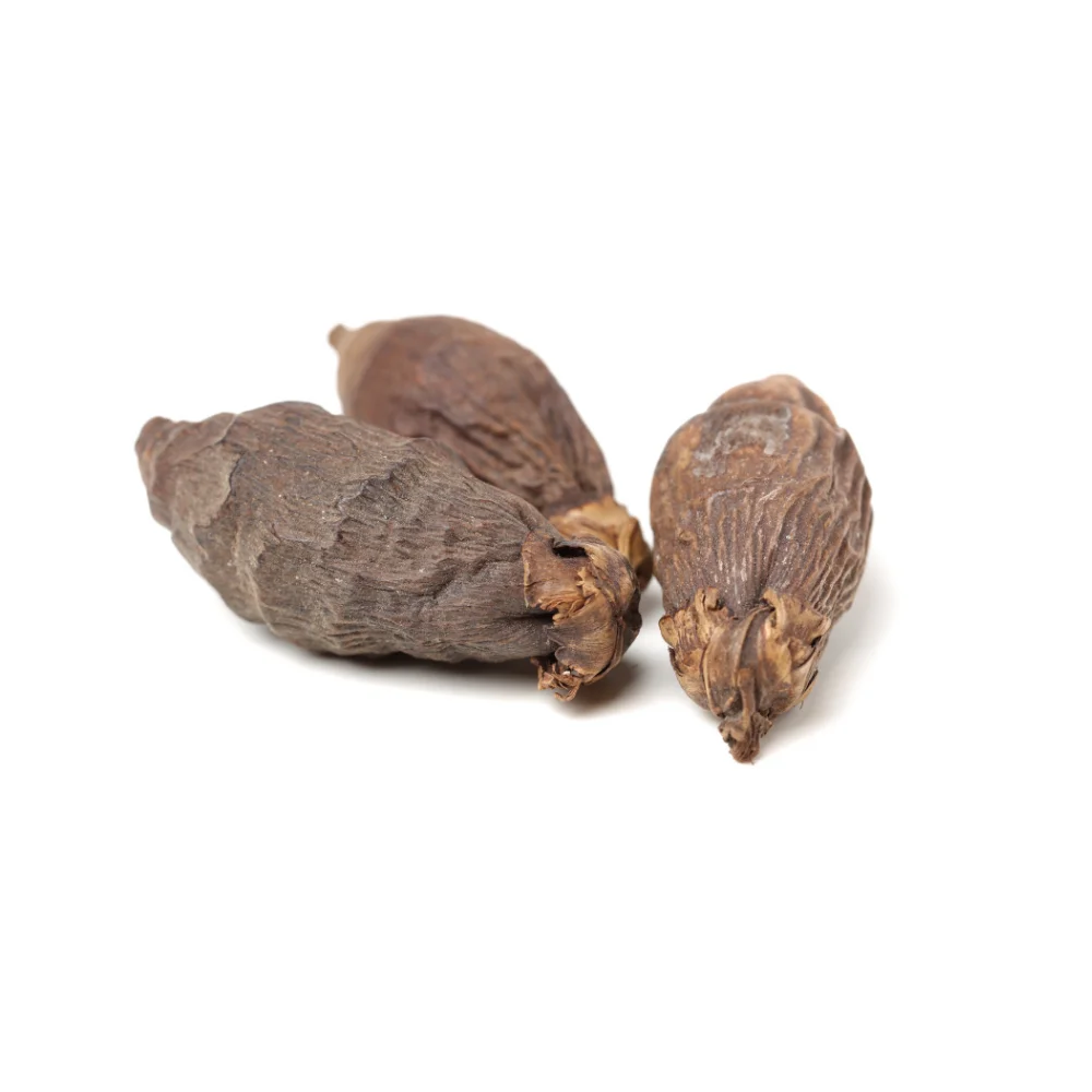 2021 High Quality Made In Vietnam Cheap Price Areca Nuts/ Areca Berries/ Betel Nuts - VI HUYNH +84 911 695 402