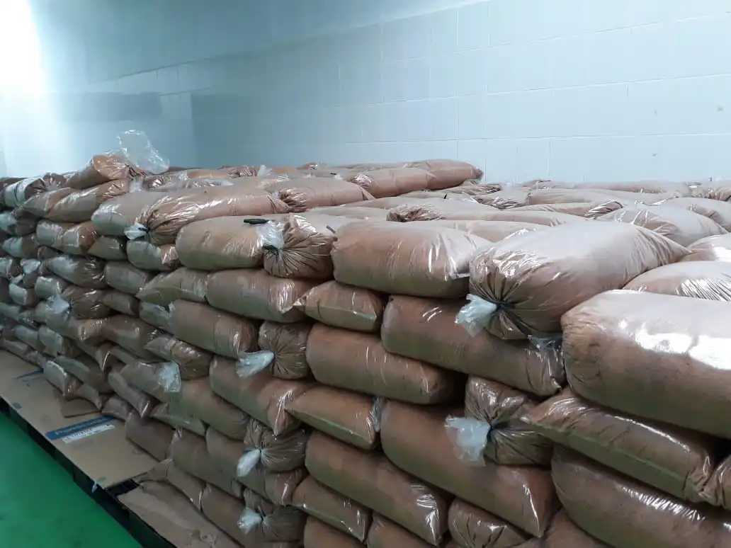 Кокосовая пальма из индонезии хорошая цена и